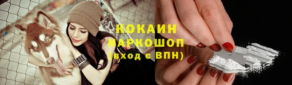 стаф Осташков