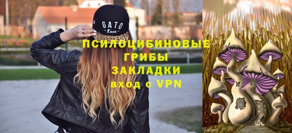 стаф Осташков