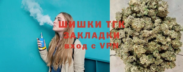 стаф Осташков